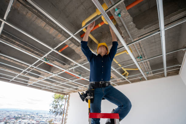 Best Plumbing Inspection Services  in Frederick, MD